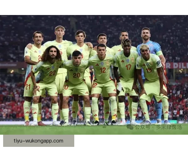 西班牙队最新阵容解析：明星球员与战术变化的深度剖析